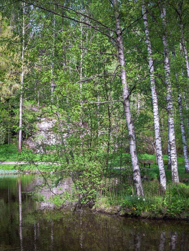 Vantaalaisten edunvalvontaa suunnitellaan jo Uusi Vantaa työssä Tavoitteena on hyvät yhteistyösuhteet maakuntaan Yhdyspinnat kartoitetaan ja niihin pyritään rakentamaan toimivat ratkaisut.