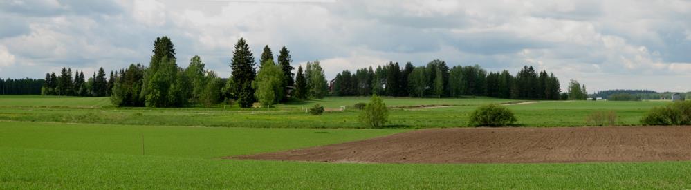 pysyvien nurmien säilyttäminen Täydentävät ehdot (viljelijätukien saamisen edellytys; ei korvausta) viljely hyvän