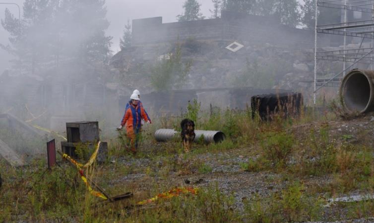 Varautumiskoulutuksen kohderyhmät ja yhteistyö Pelastuslaitokset/pelastustoimi Kaupungit, Kunnat