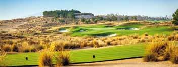 golfkentän yhteyessä sijaitseva Sueno Golf tarjoaa golfarille parhaat maholliset olosuhteet golflomailuun Molempien kenttien ykkösteet sijaitsevat lyhyen raivin päässä aamiaishuoneen ovelta Hotellin
