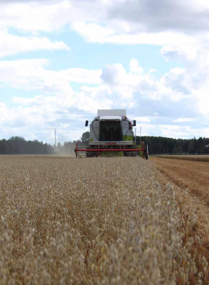 ATEGORIA NESTE OIL -TUOTTEET POLTTOÖLJ DIESEL MUUT TUOTE UVAUS TUOTE UVAUS POLTTOÖLJ 0/-10 TAI -5/-15 esälaadun Neste poltto öljy lämmitys- ja moottori käyttöön on rikitöntä ja sen kylmä ominaisuudet