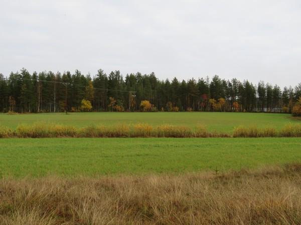 982 Matti Huurre tarkastus 982 Z 30 m -rekisterin piste Kuvaus: -rekisterin kuvaus: Asuinpaikka sijaitsee Jylhämän voimalaitoksesta 2,5 km länsilounaaseen Rokuanjärveen etelästä laskevan Rokuanjoen