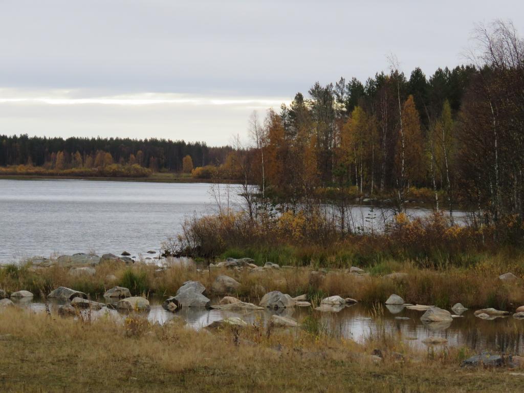 59 70. Nimisjärvi Sillankorva 78500008 R4333R 344 09 Asuinpaikat P: 754904 I: 489863 Esihistoriallinen KM 