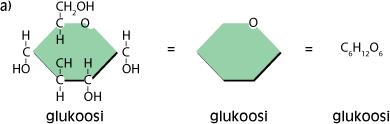 2. Hiilihydraatit (C, O, H) 1. Monosakkaridit (1 hiilirengas, esim. glukoosi) 2.