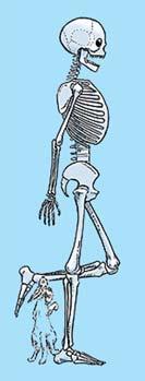 19.12. klo 12 mittauksia ja jouluglögiä. Vaasan Seudun Luustoyhdistys ry Vasanejdens Osteoporosförening rf Tule mukaan yhdistyksen toimintaan olemalla yhteydessä hallituksen jäseniin!