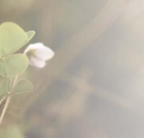 Pirkolla on aiemmin ollut tapana syödä, kun on nälkä. Kurssilla hän on huomannut, miten erilainen tapa suhtautua ruokaan ihmisillä on.