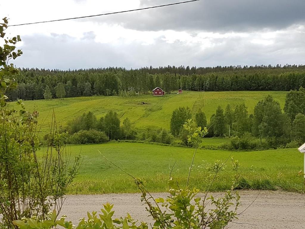 Reunavyöhykkeet Pellon ja vesistön välinen reunayöhyke joen rannalla.