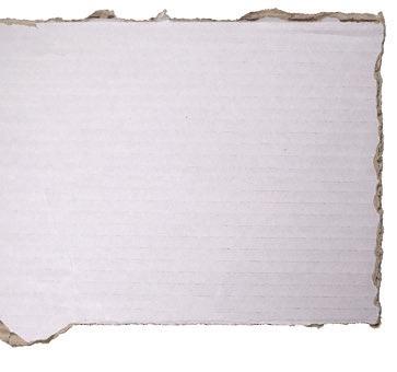 TABLETTI KISSOILLE * Hyväksytty vähintään 8-viikkoisille ja vähintään 0,5-kiloisille kissoille.