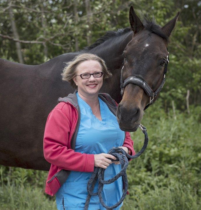 kokemusta ulkomailta, jos siihen tarjoutuu tilaisuus. Suomalaisella eläinlääkärikoulutuksella pärjää kyllä maailmallakin, eikä lisäkokemus missään tapauksessa mene hukkaan.