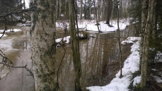 Silttipitoinen maa-aines on herkkää virtaavan veden aiheuttamalle eroosiolle, mikä on huomioitava hulevesiviemäreiden purkupisteissä ja ojissa, joissa veden virtausnopeus kasvaa esimerkiksi jyrkän