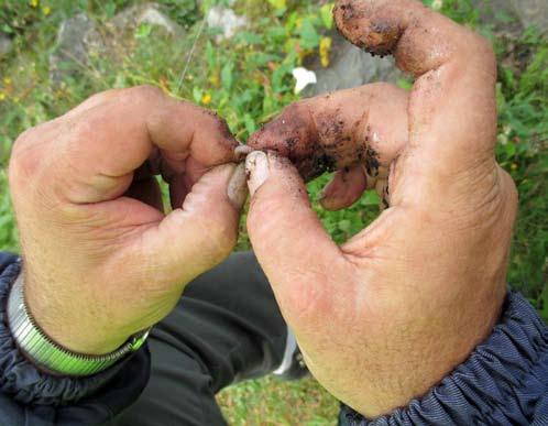 12 Nikulainen Kalastus kannattaa Niiralan Kulman ja