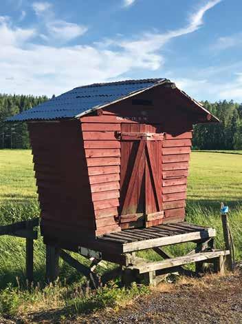 Taimin KESÄTUNNE-NÄYTTELY Pirjo Jalonen Kesätunne-näyttely 9.8. 30.9.2018 Taimin kohtaamispaikka Toivo. Niin tuli ihana toukokuu, ja luonto heräsi yhtäkkiä.