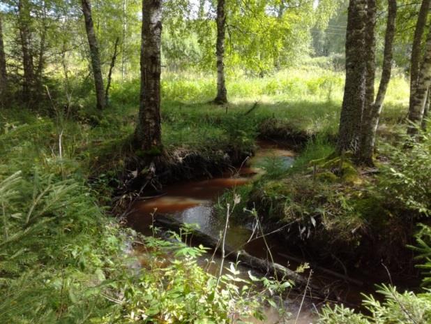 tulva-alueen palauttaminen Tavoitekuvatarkastelu Puuaines