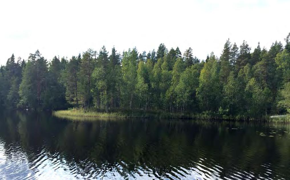 9 3.1.4 Maanomistus Palvelut Kankaanpään keskustan palvelut ovat 22km etäisyydellä.