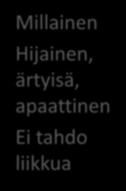 Millainen Hijainen,