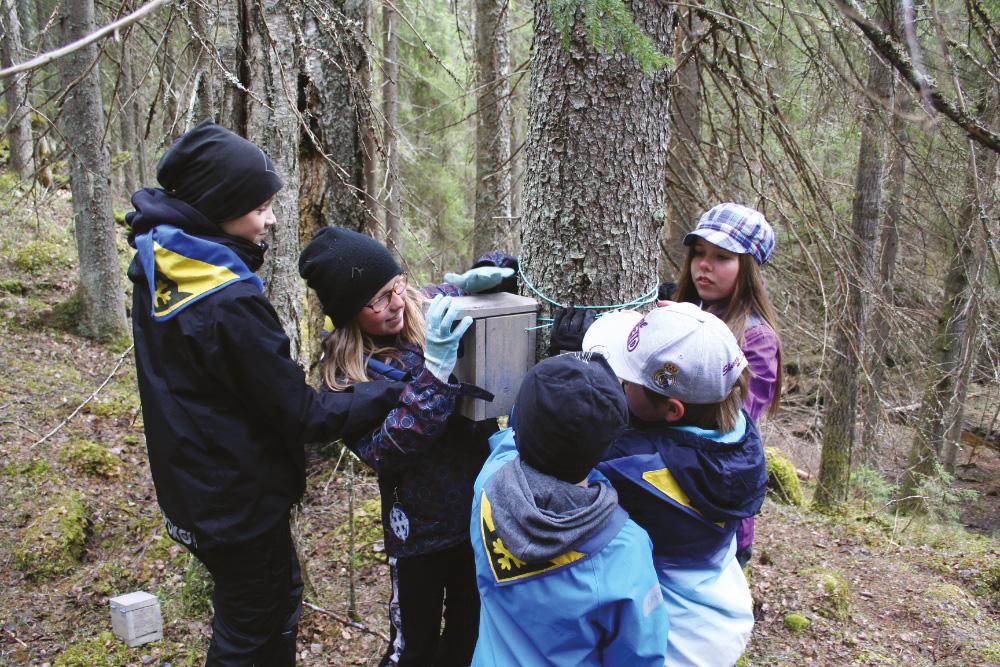 Kuva 11. Partiolippukunta Kinahmin kiipijät asettavat kätköä kohteelle. Kuva: Timo Toivanen.