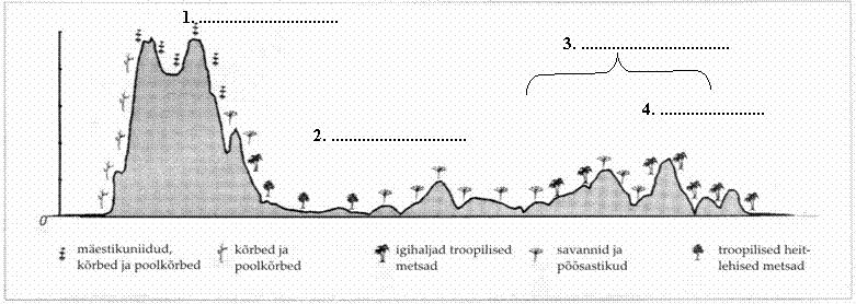 Joonisel on kujutatud ühe mandri 313 km pikkust lääne-ida suunalist profiiljoont. 6 p a) Millise mandriga on tegemist?