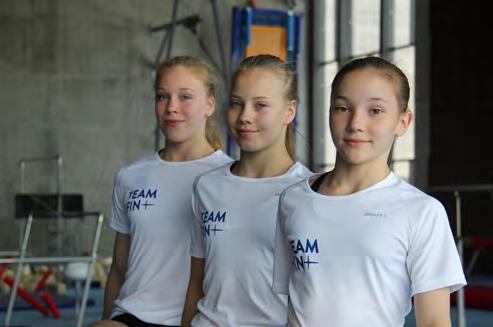 Miesten telinevoimistelussa vuoden tavoitteena oli vahvistaa osaamista ja valittua valmennusjärjestelmää ja näin rakentaa pohjaa alkaneen olympiadin kansainväliselle menestykselle.