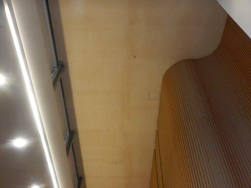 Vesikatolla ei havaittu syytä, mikä voisi aiheuttaa tummentumia. Alapuolelta olisi suositeltavaa avata rakenteita ja tutkia mahdollinen aiheuttaja.
