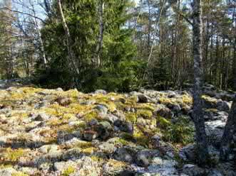 Keski-Pohjanmaan ArkeologiaPalvelu