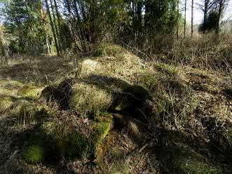 Etäisyystieto Kalannin kirkolta 9,5 kaakkoon Ajoitustarkenne uusi aika Inventointimenetelmät Pintahavainnointi, kairaus, koekuopitus Aiemmat löydöt A. Niisinaho, A.-K.