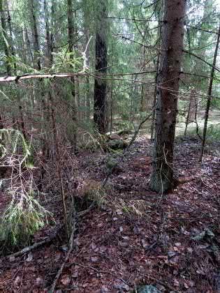 86. Metsälä 3 Keski-Pohjanmaan ArkeologiaPalvelu Uusikaupunki Kalanti osayleiskaava 2017 Osa 2 99 Mj-rekisteri TM35-lehtijako L3421L Laji kulttuuriperintökohde Vanha yleislehtijako 1142 12