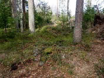 86. Metsälä 3 Keski-Pohjanmaan ArkeologiaPalvelu Uusikaupunki Kalanti osayleiskaava 2017 Osa 2 100 Mj-rekisteri TM35-lehtijako L3421L Laji kulttuuriperintökohde Vanha yleislehtijako 1142 12 Tyyppi