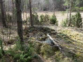 101. Raumanmäki Keski-Pohjanmaan ArkeologiaPalvelu Uusikaupunki Kalanti osayleiskaava 2017 Osa 2 114 Mj-rekisteri 89500009 TM35-lehtijako L3244R Laji - Vanha yleislehtijako 1131 10 Tyyppi