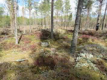 103. Kullanvuori Keski-Pohjanmaan ArkeologiaPalvelu Uusikaupunki Kalanti osayleiskaava 2017 Osa 2 116 Mj-rekisteri 1000015341 TM35-lehtijako L3244R Laji - Vanha yleislehtijako 1131 10 Tyyppi