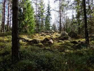 GPS-mittaus Ajoitus yleinen pronssikausi Etäisyystieto Kalannin kirkolta 10,1 km itäkaakkoon Ajoitustarkenne Inventointimenetelmät pintahavainnointi Aiemmat löydöt 1896 inv T. Schvindt, & H.