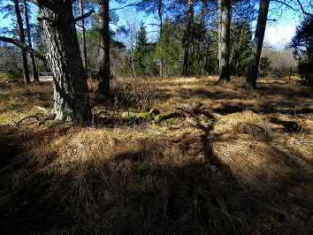 6749046 I 209482 LKM 1 Koordinaattiselite GPS-mittaus Ajoitus yleinen rautakausi Etäisyystieto Kalannin kirkolta 7,7 km kaakkoon Ajoitustarkenne Inventointimenetelmät Pintahavainnointi 1964