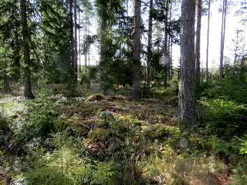 23. Taipaleenvainio Keski-Pohjanmaan ArkeologiaPalvelu Uusikaupunki Kalanti osayleiskaava 2017 Osa 2 28 Mj-rekisteri 895010010 TM35-lehtijako L3244R Laji kiinteä muinaisjäännös Vanha yleislehtijako