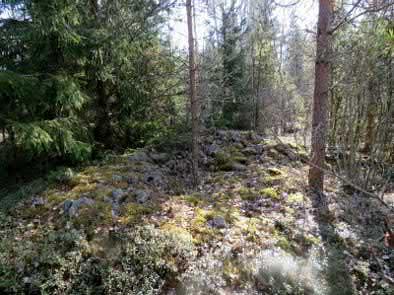 24. Luhtamäki Keski-Pohjanmaan ArkeologiaPalvelu Uusikaupunki Kalanti osayleiskaava 2017 Osa 2 29 Mj-rekisteri 895010011 TM35-lehtijako L3244R Laji kiinteä muinaisjäännös Vanha yleislehtijako 1131 07