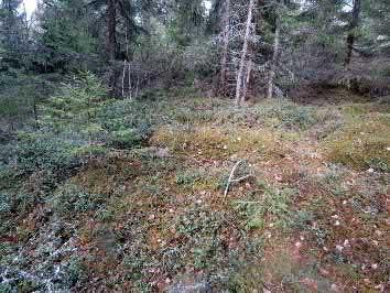 25. Koivuranta II Keski-Pohjanmaan ArkeologiaPalvelu Uusikaupunki Kalanti osayleiskaava 2017 Osa 2 30 Mj-rekisteri 895010013 TM35-lehtijako L3244R Laji kiinteä muinaisjäännös Vanha yleislehtijako