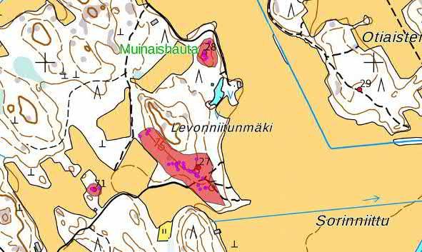 27. Levonniitunmäki Keski-Pohjanmaan ArkeologiaPalvelu Uusikaupunki Kalanti osayleiskaava 2017 Osa 2 32 Mj-rekisteri 895010009 TM35-lehtijako L3244R Laji kiinteä muinaisjäännös Vanha yleislehtijako