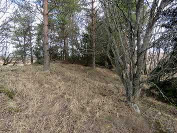 35. Kömpänmäki Keski-Pohjanmaan ArkeologiaPalvelu Uusikaupunki Kalanti osayleiskaava 2017 Osa 2 41 Mj-rekisteri 895010037 TM35-lehtijako L3244R Laji kiinteä muinaisjäännös Vanha yleislehtijako 1131