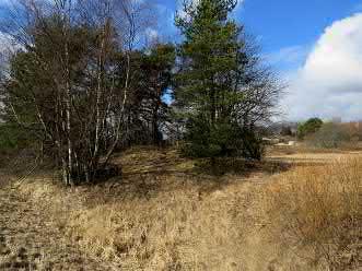 36. Palppa VI Keski-Pohjanmaan ArkeologiaPalvelu Uusikaupunki Kalanti osayleiskaava 2017 Osa 2 42 Mj-rekisteri 895010036 TM35-lehtijako L3244R Laji kiinteä muinaisjäännös Vanha yleislehtijako 1131 10