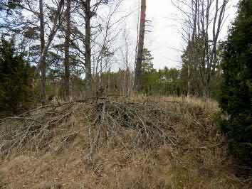 69. Piitorauma Keski-Pohjanmaan ArkeologiaPalvelu Uusikaupunki Kalanti osayleiskaava 2017 Osa 2 74 Mj-rekisteri 895010002 TM35-lehtijako L3244R Laji kiinteä muinaisjäännös Vanha yleislehtijako 1131