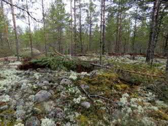 70. Helkonvuori itä Keski-Pohjanmaan ArkeologiaPalvelu Uusikaupunki Kalanti osayleiskaava 2017 Osa 2 75 Mj-rekisteri TM35-lehtijako L3244R Laji