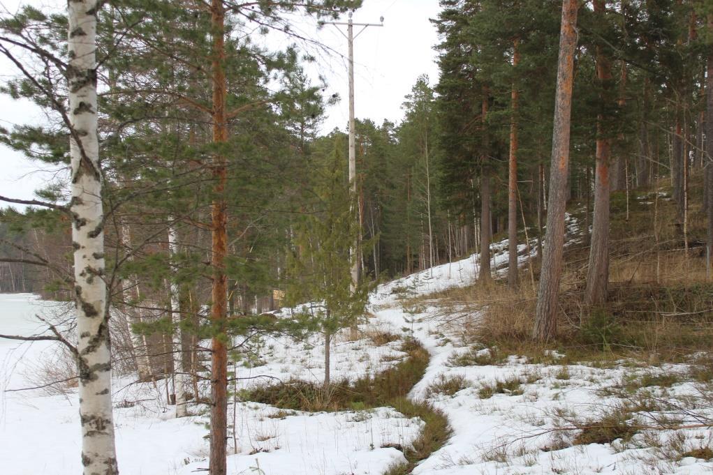 kaakkoisrannalta