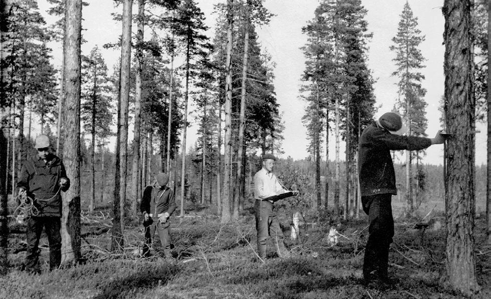 Metsäharjoittelussa Pekka Kilkin kanssa Pentti Puolakka TAPASIN PEKAN ENSIMMÄISEN KERRAN siten, että hain hänet autolla kesän 1961 alkupäivinä hänen Mikkelin kodistaan Päämajankadulta ja lähdimme