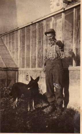 Lustikullan puutarha