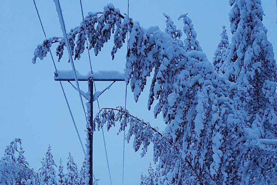 Vko 3 (15-21.1.2018) - Vioittuneita lähtöjä 138 kpl/viikko - Pj-vikoja 35 kpl/viikko. - Yksittäisiä vikoja tulee harvakseltaan lumikuormien vuoksi.