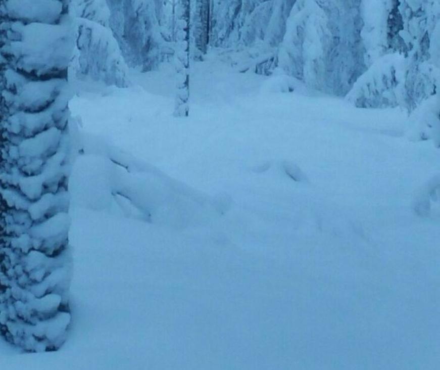 Lentohavainnot (ei alkavaa kuuraa 20830 kpl), lentohavainnot (kiireellinen) 1667 kpl. - Jälkikorjauksia (suunniteltuja keskeytyksiä) helmikuussa n. 160 kpl.
