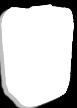 Form Basic-muottiöljy 241200 200
