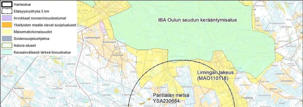 Hankealueelle tehtiin liito-oravaselvityksen maastokäynti 16.3.