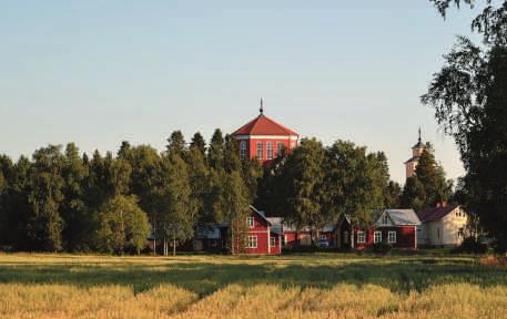 Här njuter du av skogens sus och av fågelkvitter.