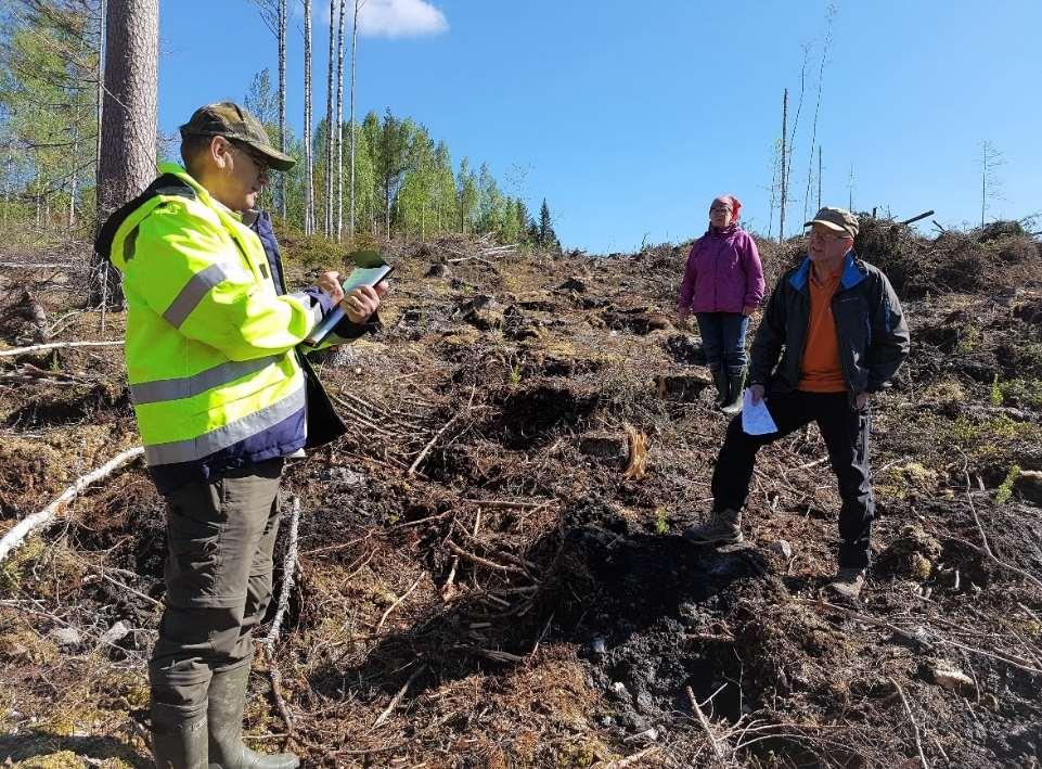 3: Metsänkäyttöilmoituksella osoitetaan hakkuun laillisuus ja selvitetään ympäristönäkökohdat KMY:n vuosiauditoinnit vuonna 2017: Metsänkäyttöilmoituksen laiminlyönti (yhdellä alueella) Huomioita: