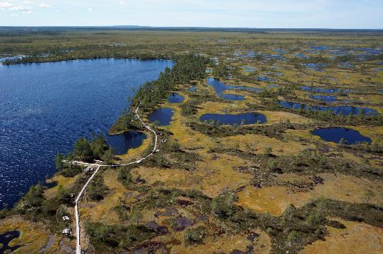 Geologinen perintö Pääteema on suo, joka yhdistää aluetta 15 000 ha soita, suurimmat Kauhaneva ja Haapakeidas Kauhanevan-Pohjankankaan kansallispuisto on myös Ramsar-alue Alueella on ennallistettu