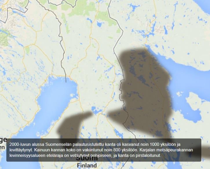 Kainuuseen 1950-luvulla ja palautusistutuksien kautta myös Suomenselälle 1980- luvulla Toinen palautus